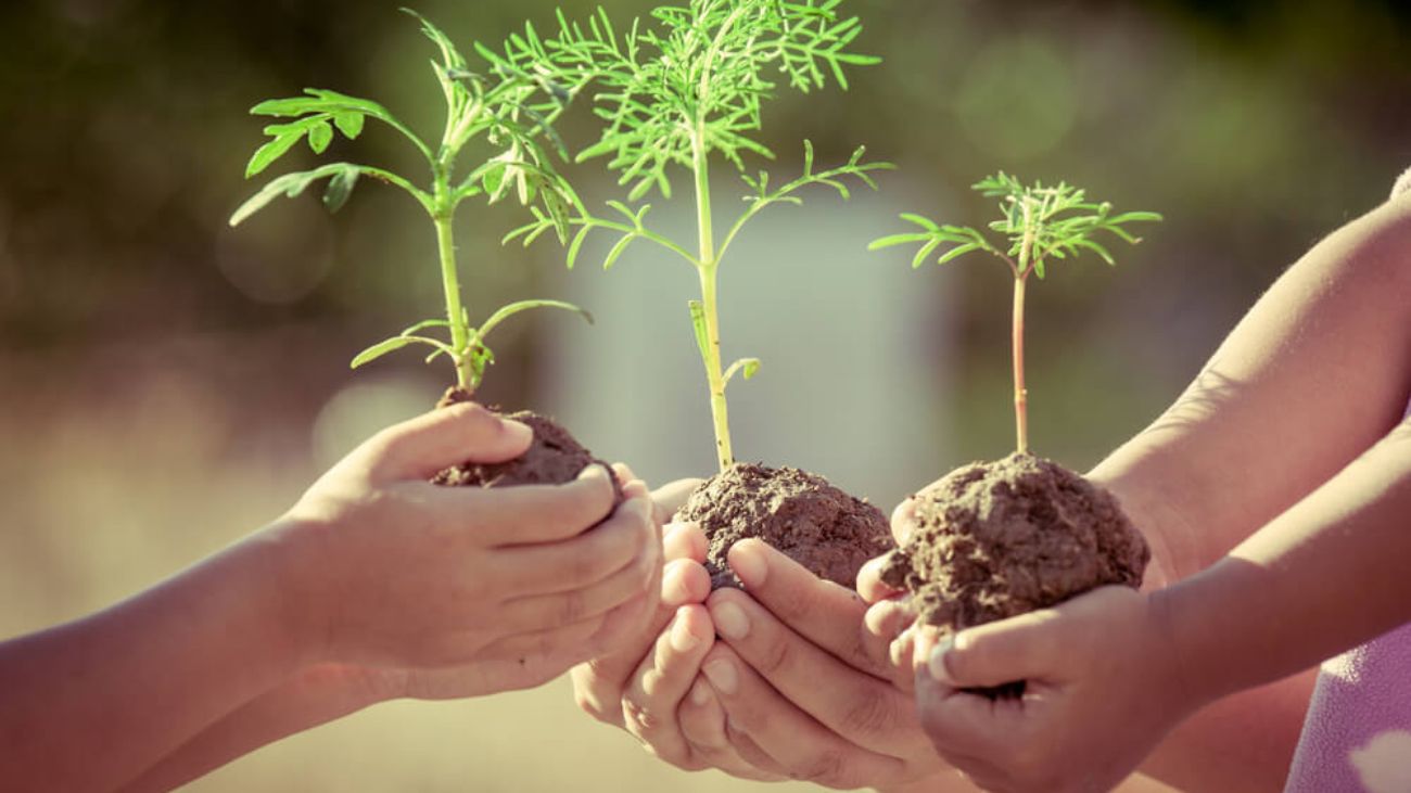 Texto-13.-O-que-é-Due-Diligence-SocioAmbiental.jpg