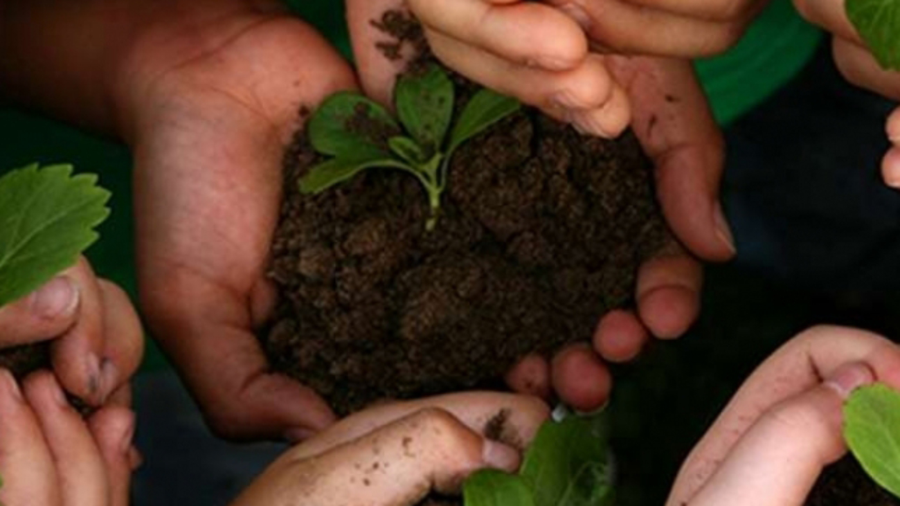 alt="RenovaBio-e-gestao-sustentabilidade-maos-segurando-planta 644x644"