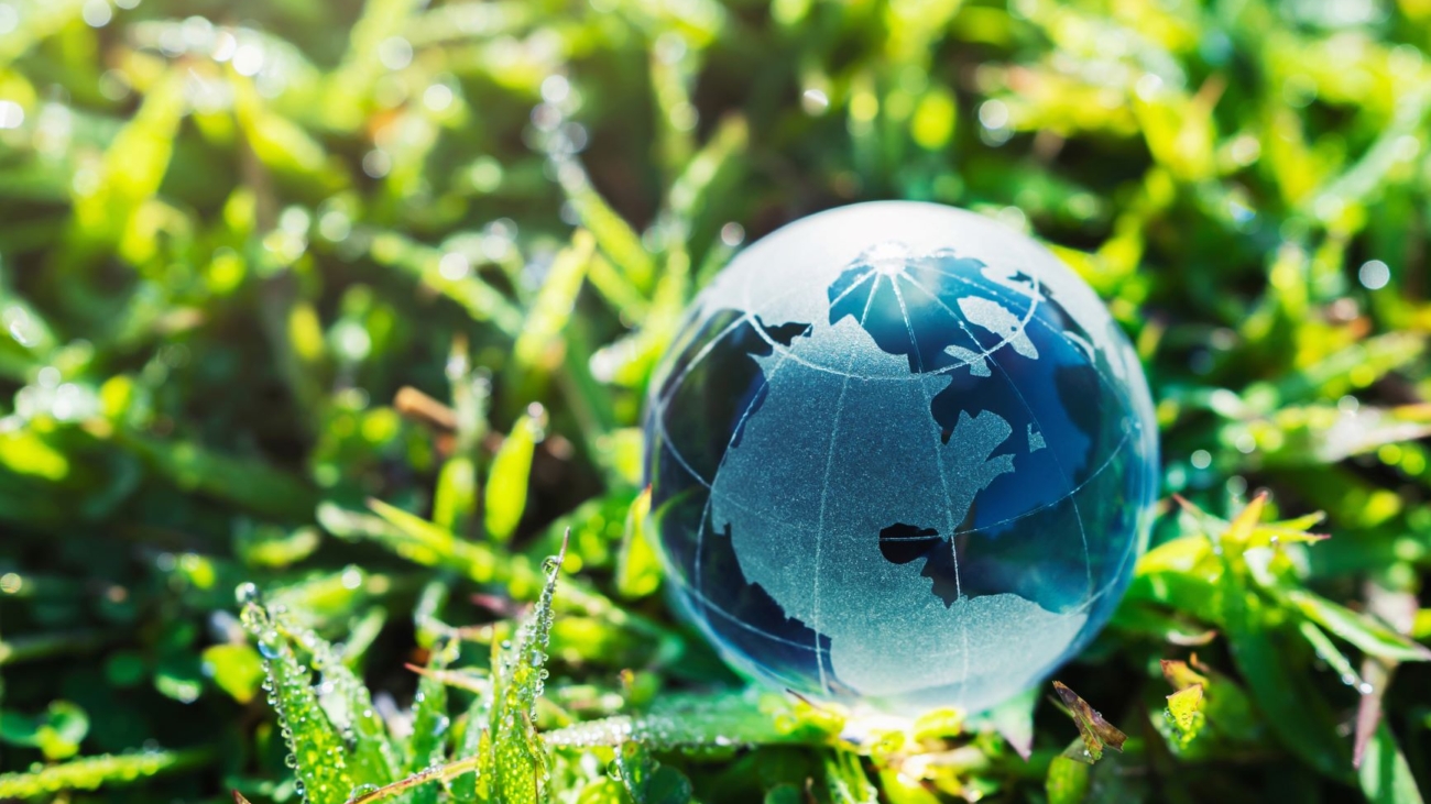 Objetivo de Desenvolvimento Sustentável 13 - Saiba mais