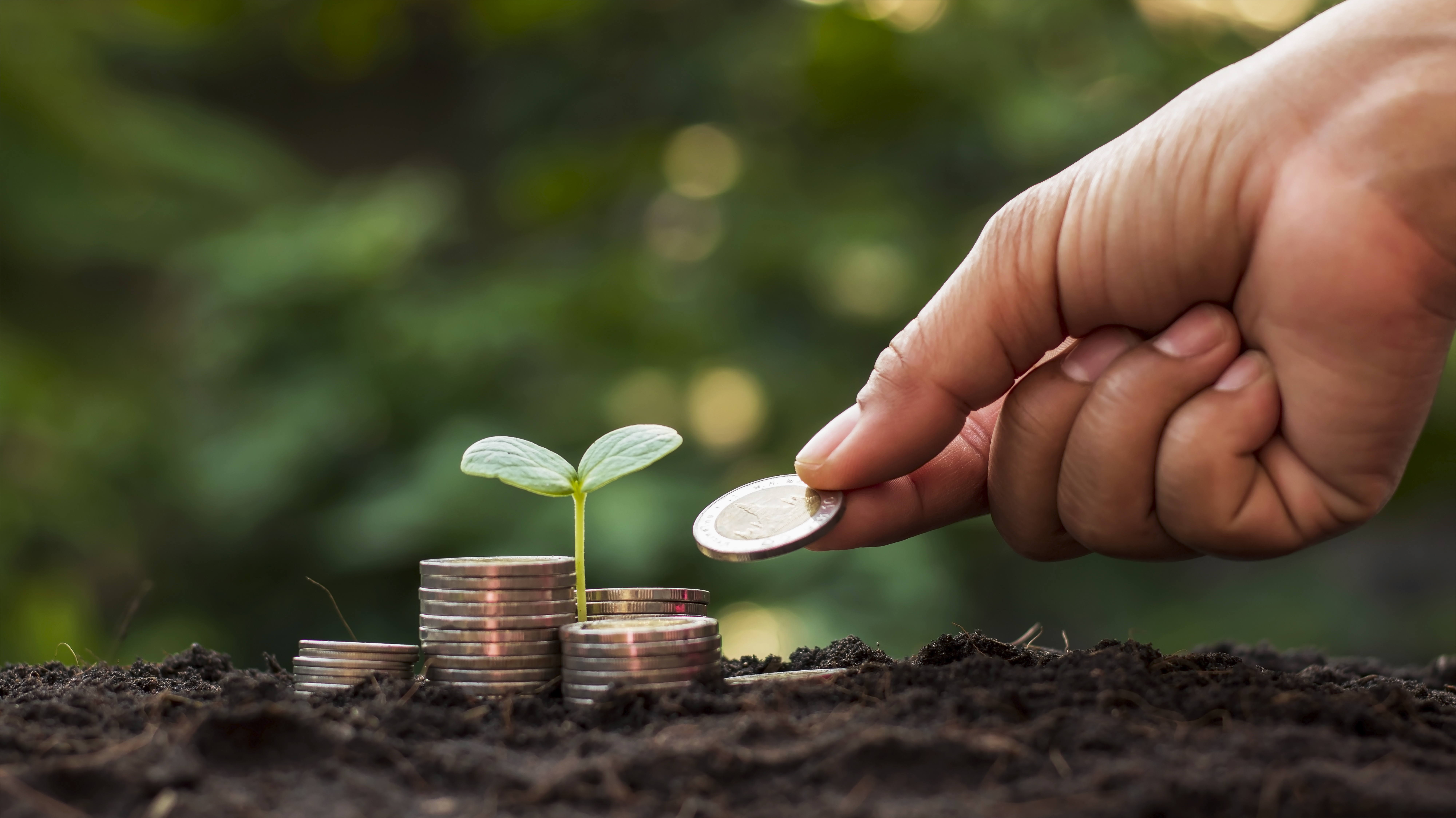Sustentabilidade na gestão empresarial