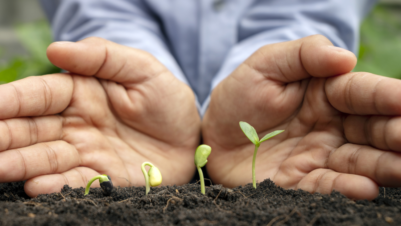 Sustentabilidade na gestão empresarial