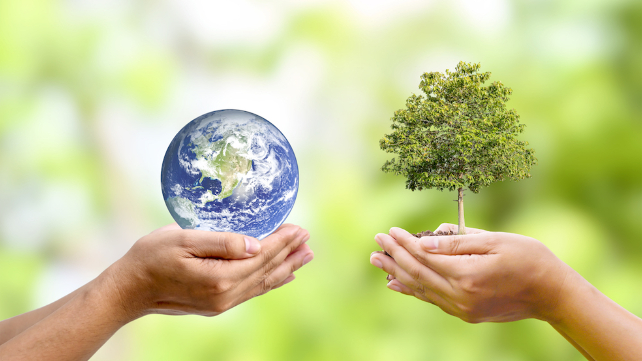 Sustentabilidade: quais as tendências para 2022