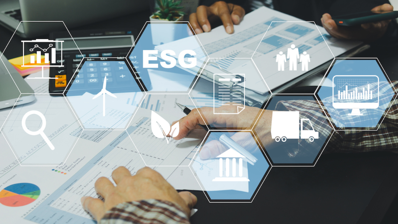 Sustentabilidade também é uma prática de pequenas e médias empresas