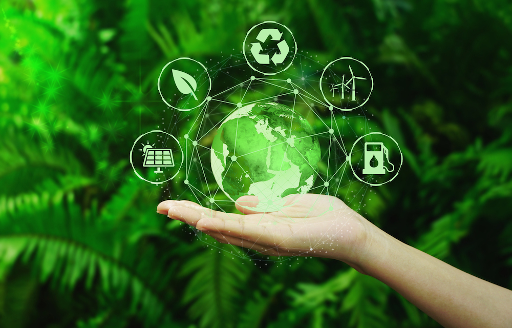 SGS valida soluções do Grupo BMV: Selo de Sustentabilidade Tesouro Verde
