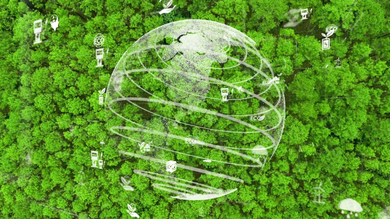 Redução das emissões de carbono e preservação florestal