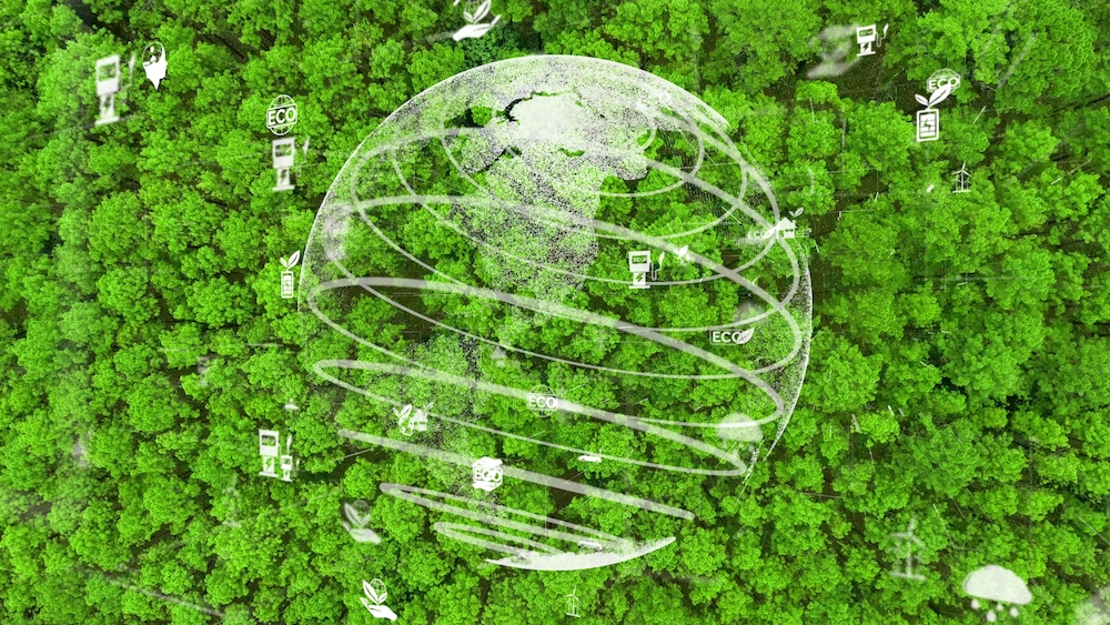 Redução das emissões de carbono e preservação florestal