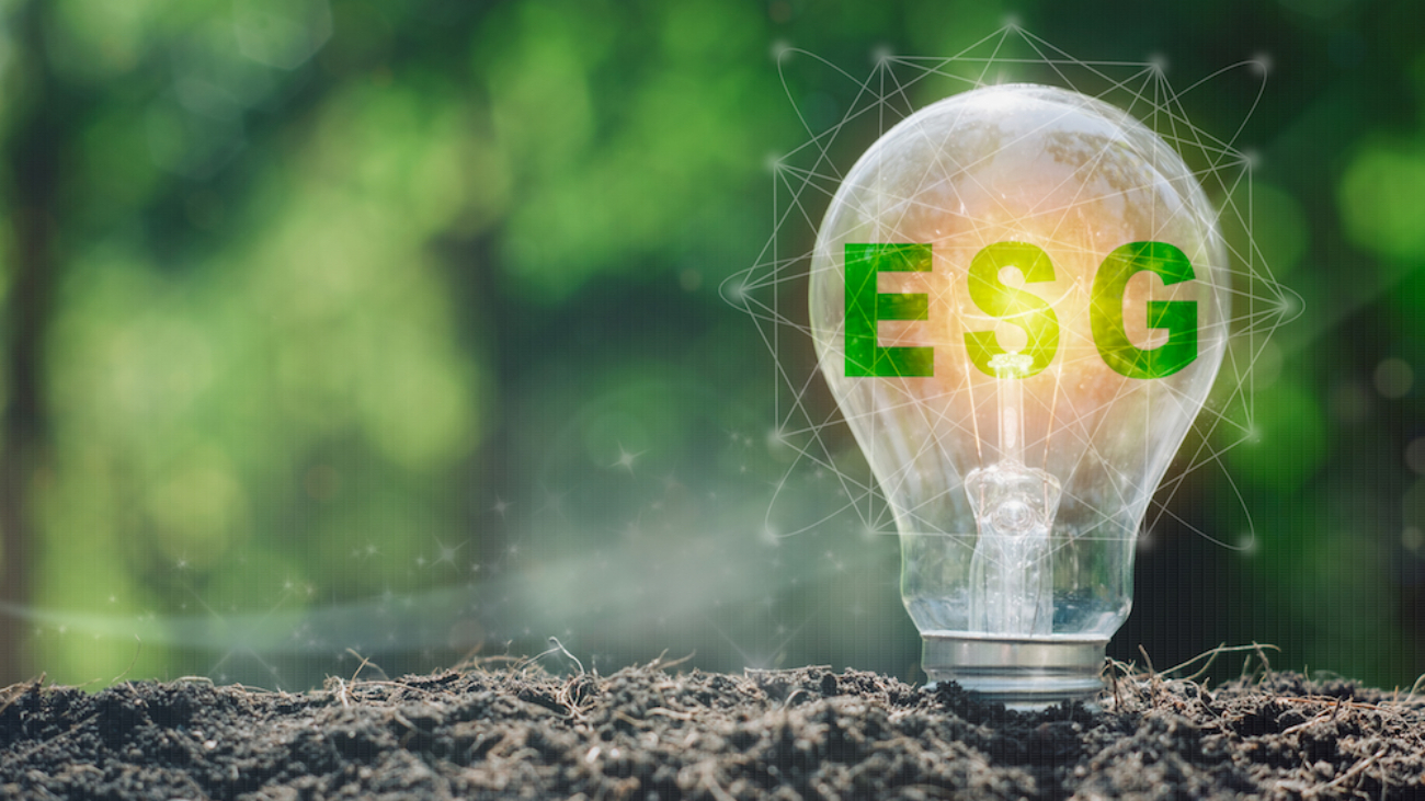 A importância da agenda ESG para stakeholders