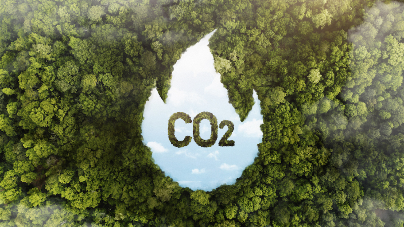 ISO 14064: saiba mais sobre a responsabilidade e verificação de GEE