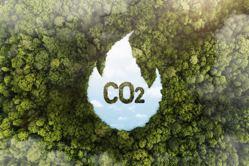 ISO 14064: saiba mais sobre a responsabilidade e verificação de GEE