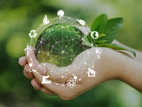 Entenda os benefícios das Unidades de Créditos de Sustentabilidade